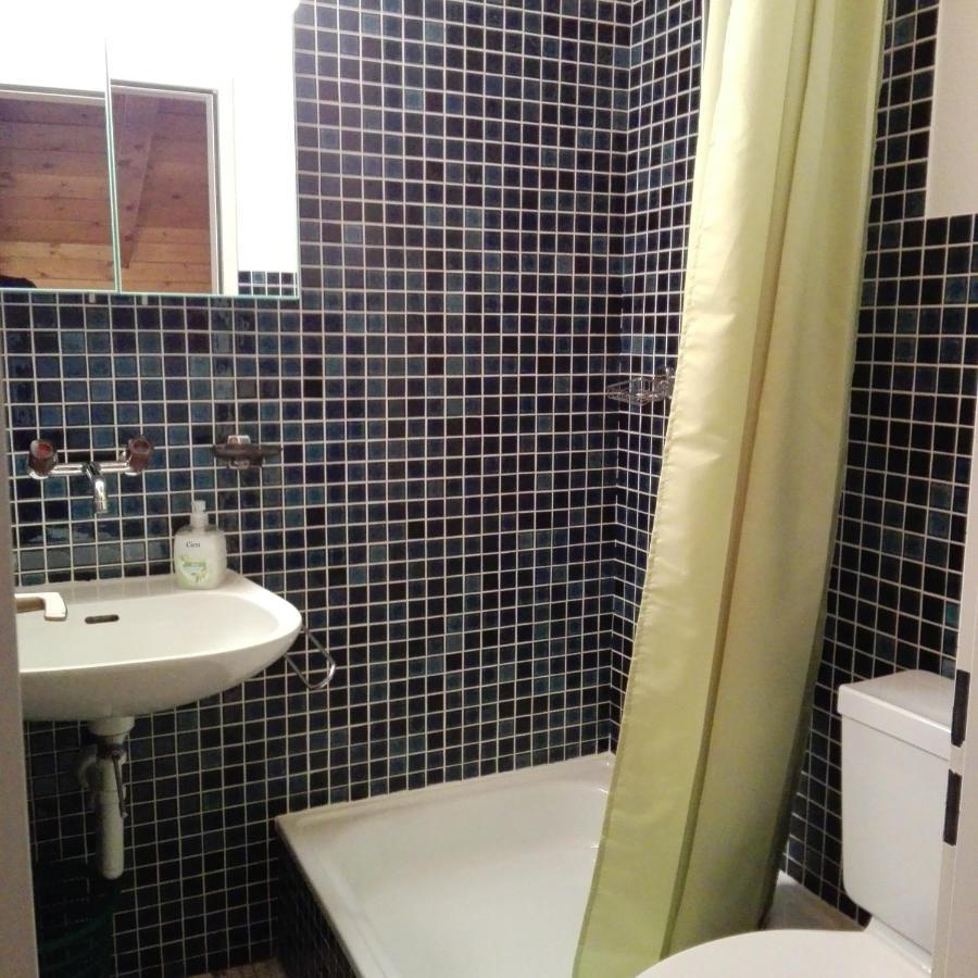 Chalet-Schuemli Maisonette Ernen المظهر الخارجي الصورة