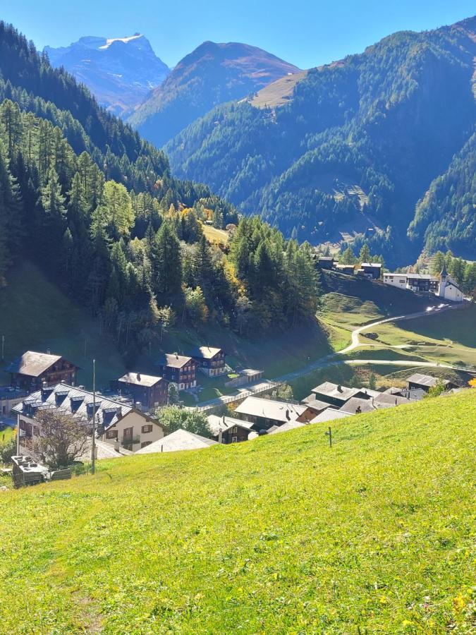 Chalet-Schuemli Maisonette Ernen المظهر الخارجي الصورة
